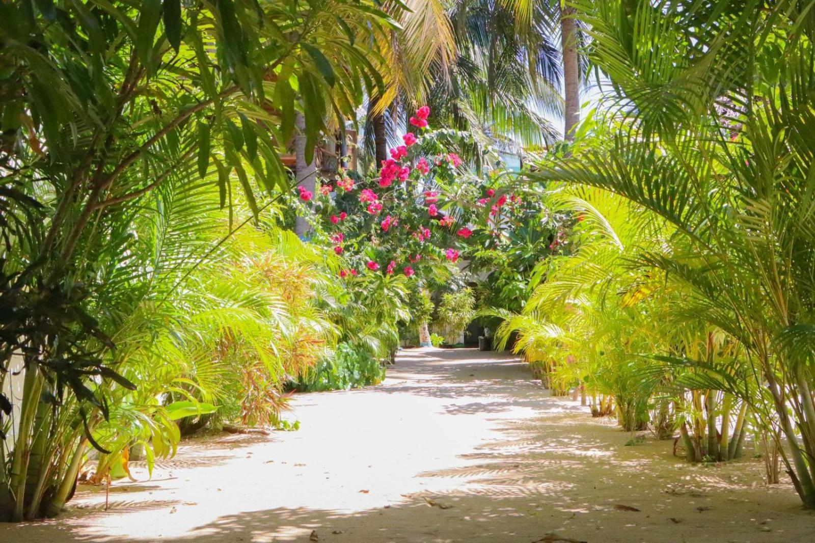 Hotel Lucky Bay Arugam Bay